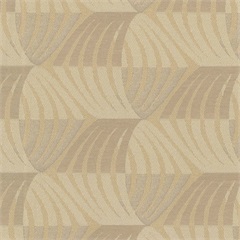 Warbler Birch